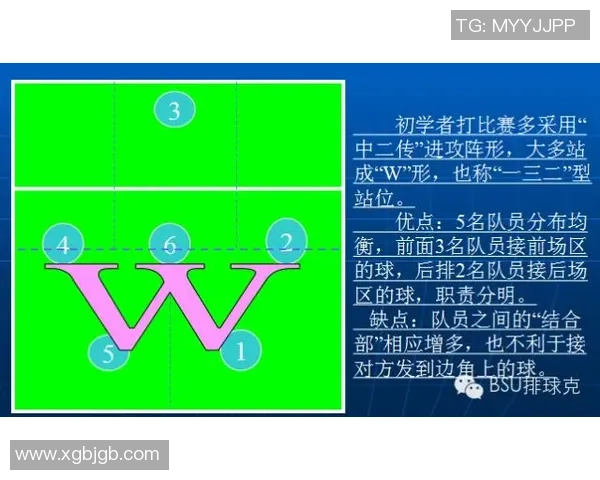 广州排球队配合策略分析与战术提升探讨
